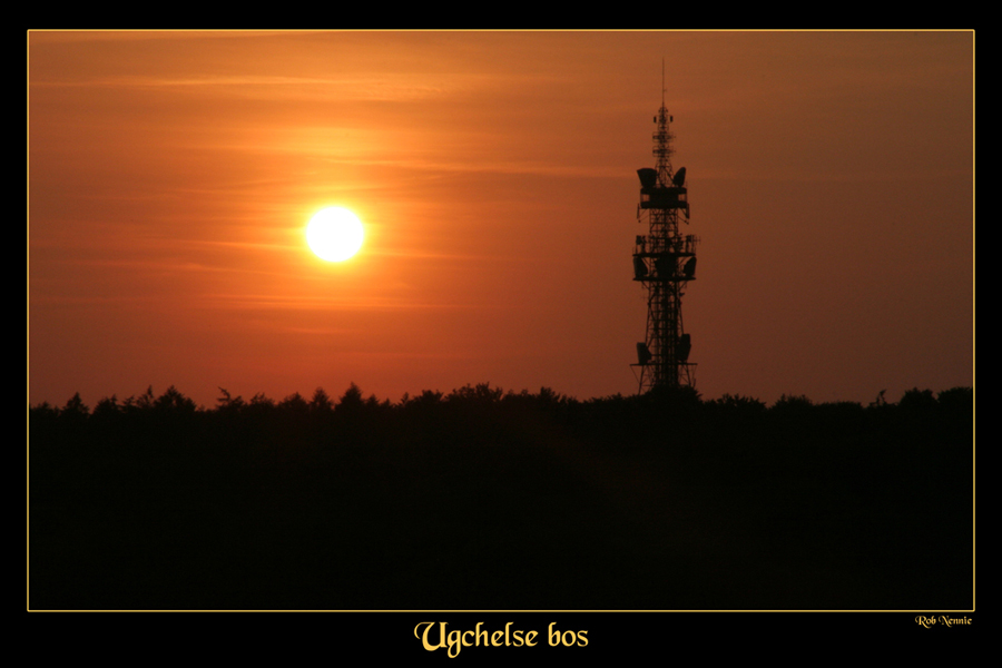 zon
